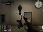 Cliquer pour voir 007 - Chat perche